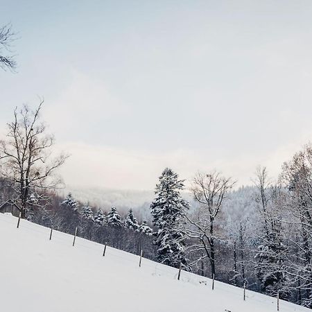 Waldjuwel Mostviertel Allhartsberg Esterno foto