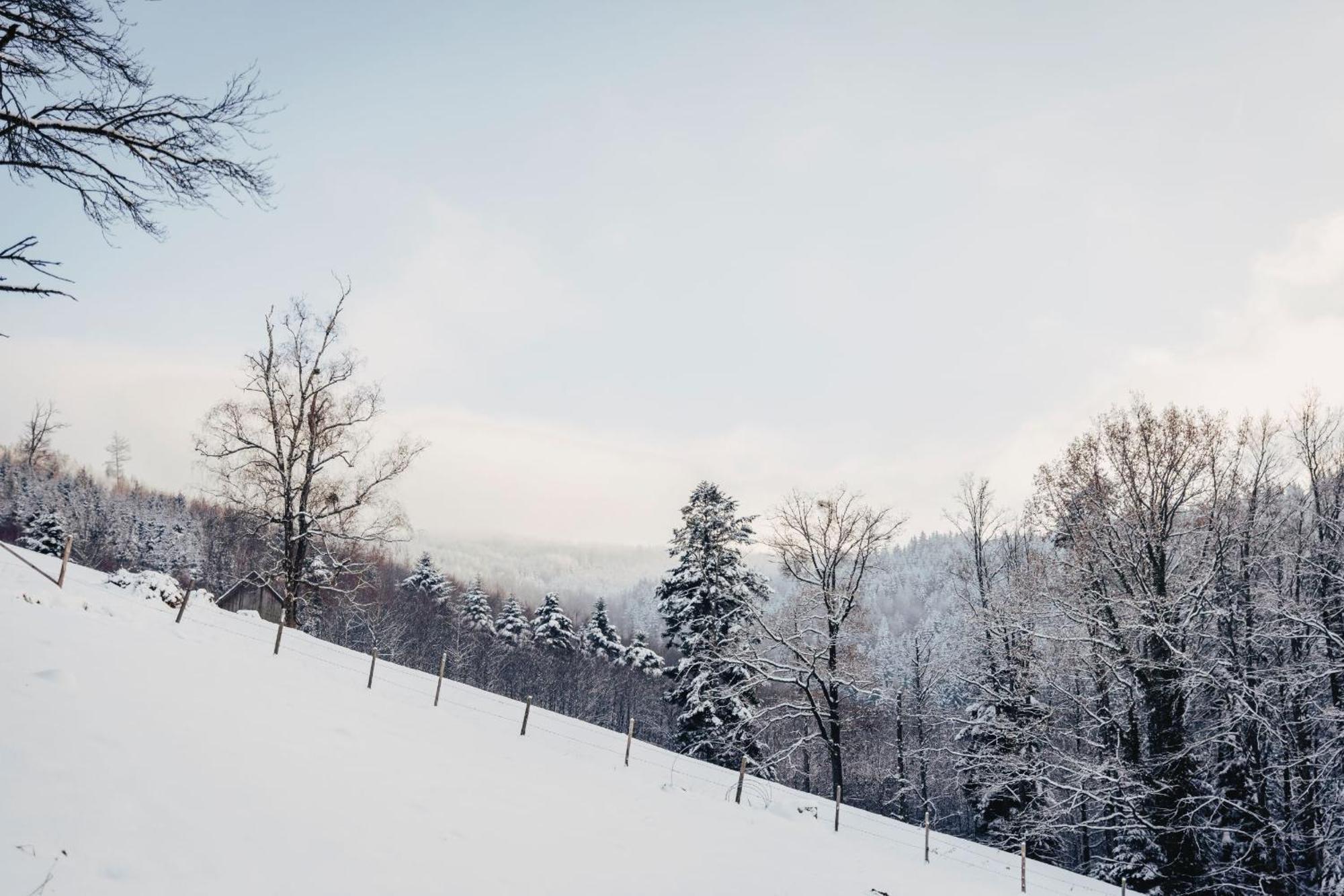 Waldjuwel Mostviertel Allhartsberg Esterno foto